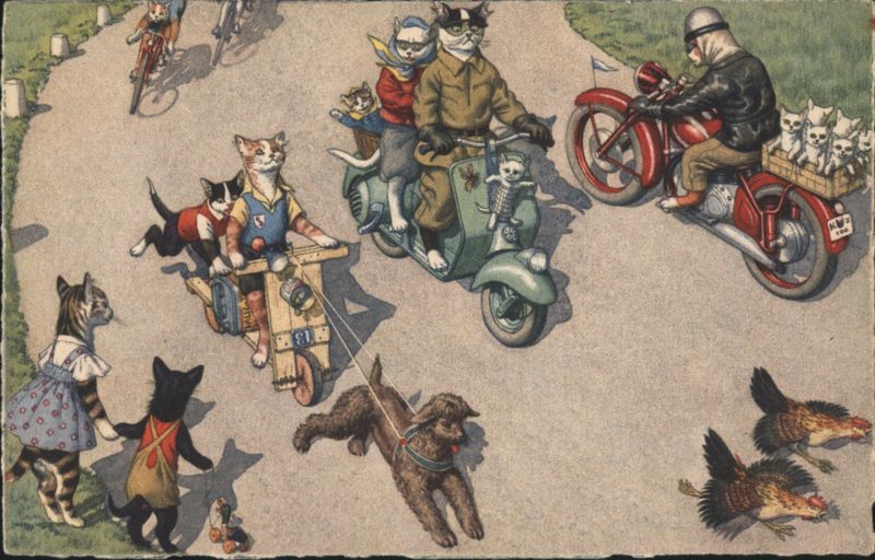 Dressed Cats and Dog on Bicycles, Scooters, and Motorcycles