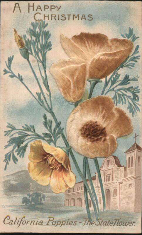 California Poppies - The State Flower, Mission, Christmas Greeting
