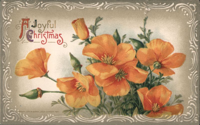 A Joyful Christmas Orange Flowers