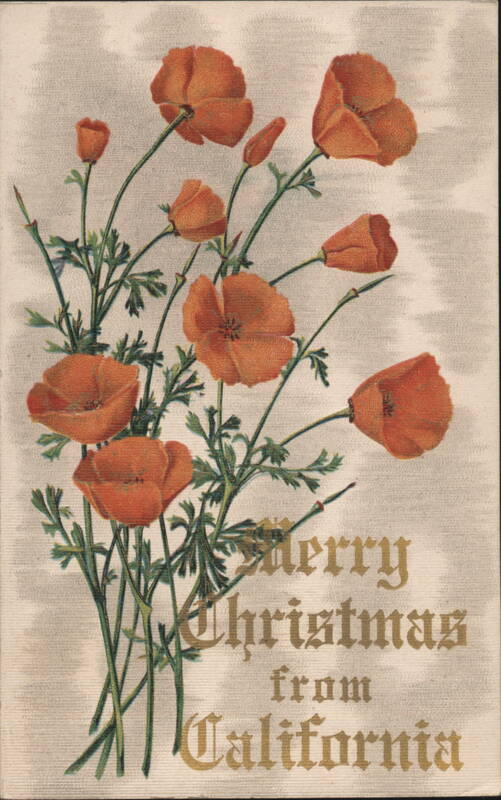 Merry Christmas from California Poppies