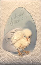 A Joyful Eastertide Chick Hatching from Egg Postcard