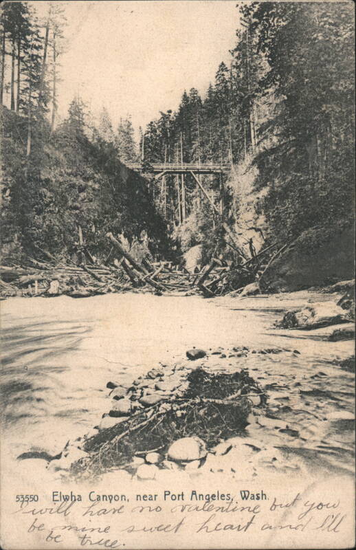 Elwha Canyon with High Wooden Bridge and Driftwood Port Angeles Washington