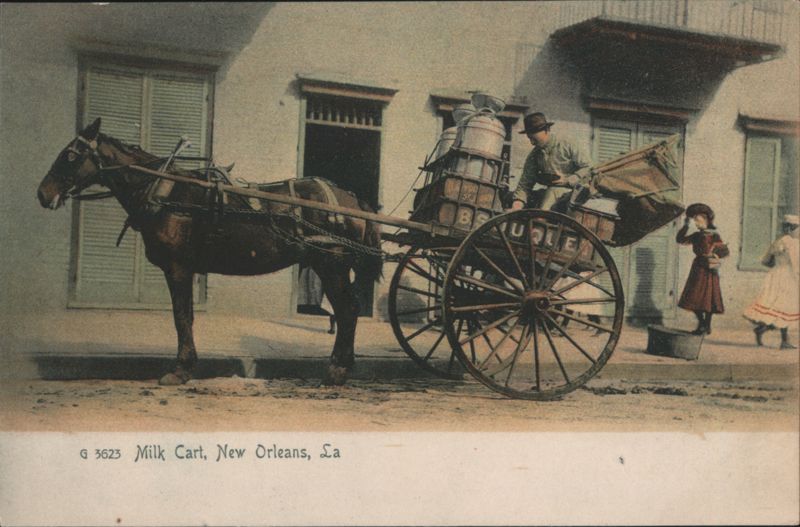 Horse-Drawn Milk Cart and Delivery Man New Orleans Louisiana
