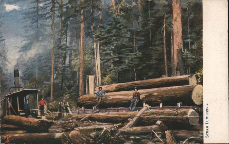 Steam Lumbering in the Giant Trees of California