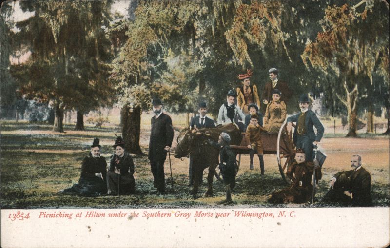 Picnicking at Hilton under Southern Gray Moss Wilmington North Carolina