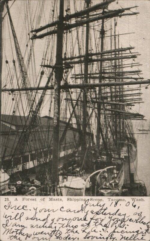 A Forest of Masts, Shipping Scene Tacoma Washington