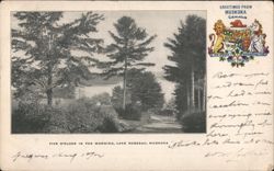 Five O'Clock in the Morning, Lake Rosseau Postcard