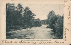 Mc. Michaels Creek, Falls, and Bridge Postcard