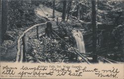 Caldono Falls, Delaware Water Gap Postcard