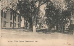 Brown Square Postcard