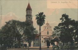 Cathedral, St. Augustine Postcard