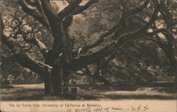 The Le Conte Oak, University of California Postcard
