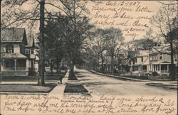 Donaldson Avenue, Tree-lined Street with Houses Postcard