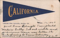 California State University Pennant Postcard