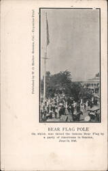 Bear Flag Pole, Sonoma Postcard