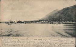 Sitka Harbor with Boats and Mountains Postcard