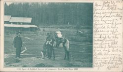 Old Spot - A Faithful Servant in Longmire's Pack Train Since 1882 Postcard