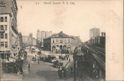Herald Square with New York Herald Building Postcard