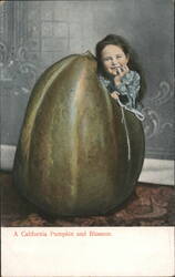 California Pumpkin and Blossom Exaggeration Postcard