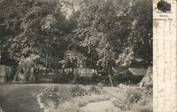 Chautauqua Grove with Tents and Garden Postcard