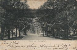 Bowne Avenue Tree-Lined Street with Horse-Drawn Carriage Postcard