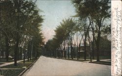 West Genesee Street with Tree-Lined Sidewalks Postcard