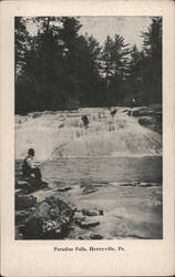 Paradise Falls with Fisherman Postcard