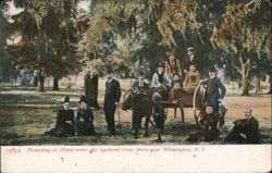 Picnicking at Hilton under Southern Gray Moss Postcard