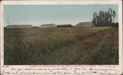Largest Hay Warehouses in the World Postcard