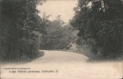 Hillside Landscape with Winding Road Postcard