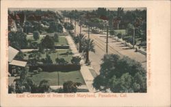 East Colorado Street from Hotel Maryland Postcard