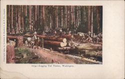 Logging Tall Timber with Horse Teams Postcard