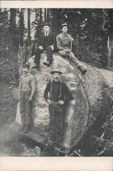 Four Loggers Posing with Massive Felled Tree Trunk Postcard