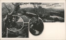 Mountain Drives in the Environs of Santa Barbara Postcard