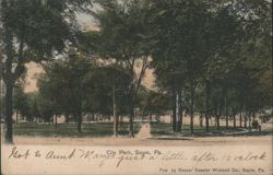 City Park with Bandstand and Mature Trees Postcard