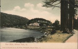 Four Pines Landscape with River and Bicycle Postcard