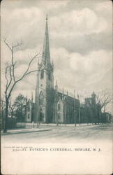 St. Patrick's Cathedral Gothic Architecture Postcard