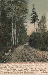 "Lone Pine" on Mount Vernon Road Postcard