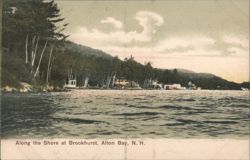 Along the Shore at Brookhurst Postcard