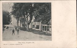 Main Street with Large Trees and Houses Postcard