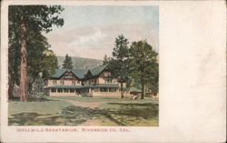 Idyllwild Sanatarium with Wrap-Around Porch and Pine Trees Postcard