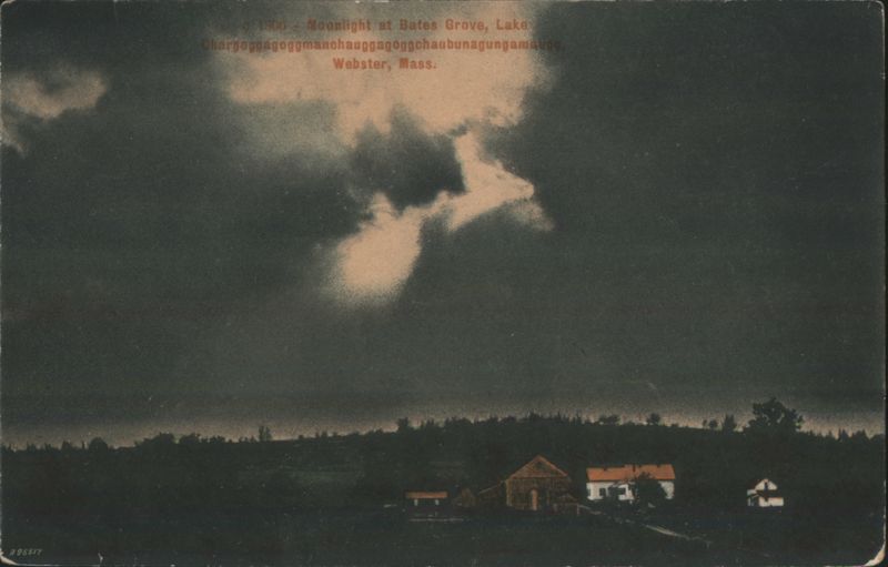 Webster MA Bates Grove Moonlight Postcard 1910 Divided Back Massachusetts