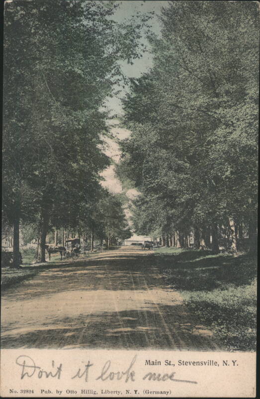 Main Street, Stevensville, New York