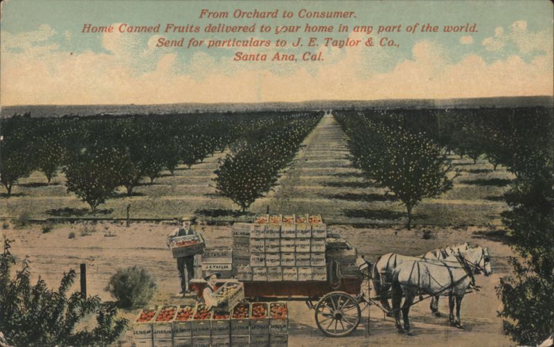 Santa Ana CA Fruit Orchard Pacific Electric Trolley Postcard California