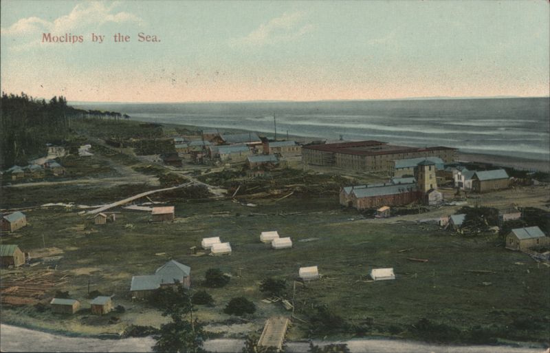 Moclips by the Sea, Washington Coastal Landscape