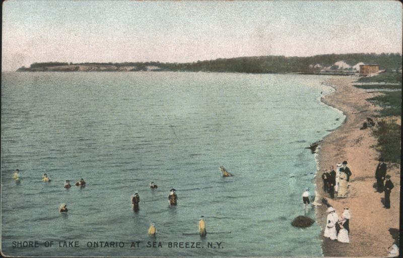 Shore of Lake Ontario at Sea Breeze New York