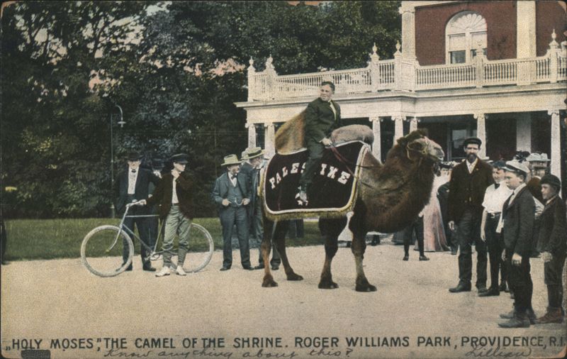 Holy Moses Camel Roger Williams Park Providence RI 1909 Rhode Island