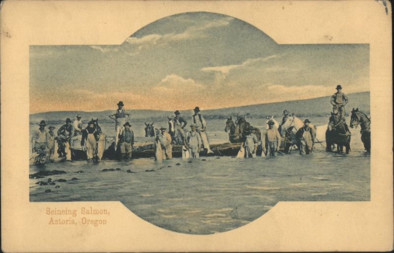 Seineing Salmon Fishing Industry Astoria Oregon