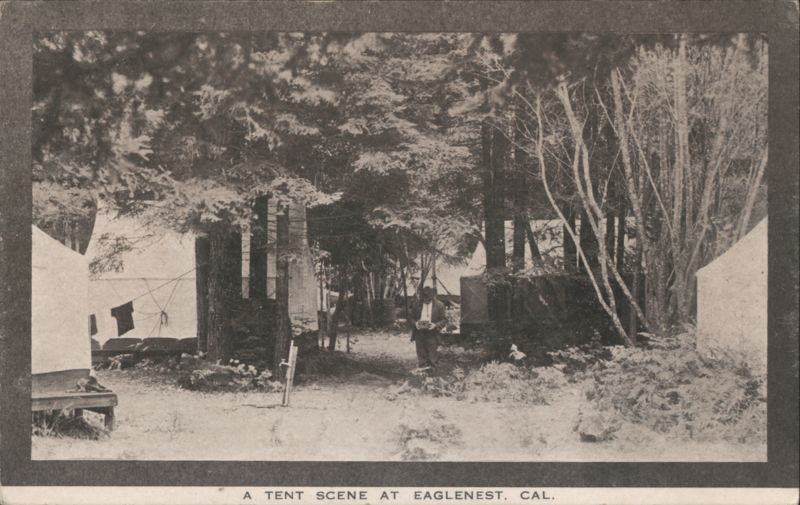 Tent Scene at Eaglenest, California Guerneville