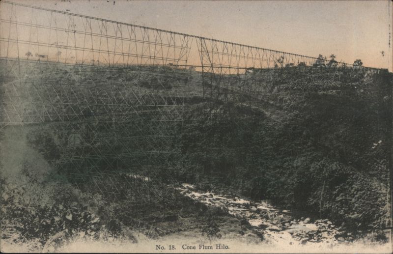 Cone Flum, Hilo, Hawaii No. 18